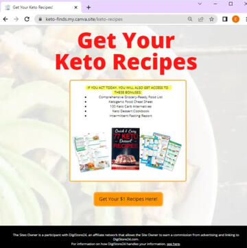 Free Canva Landing Page